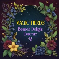 MAGIC HERBS - BERRIES DELIGHT,  1gr